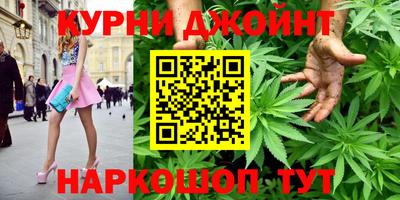 стаф Бердск