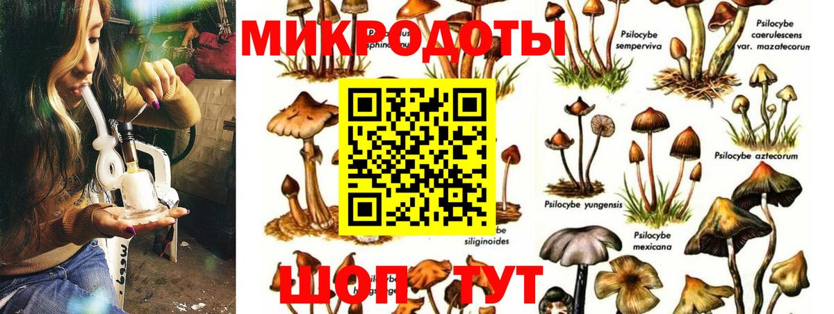 Галлюциногенные грибы MAGIC MUSHROOMS Железногорск