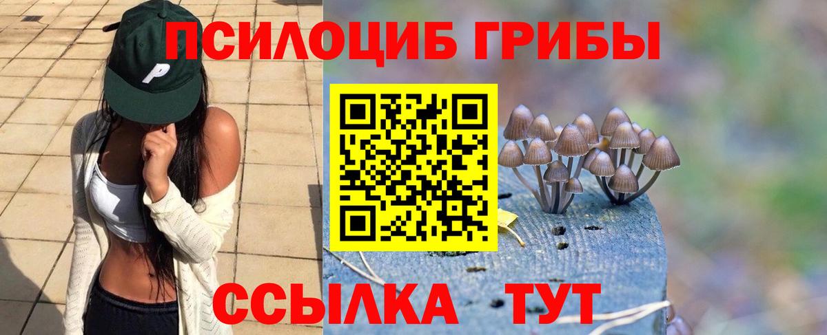 купить наркоту  Галлюциногенные грибы прущие грибы  Железногорск  Вход с VPN  Галлюциногенные грибы прущие грибы 